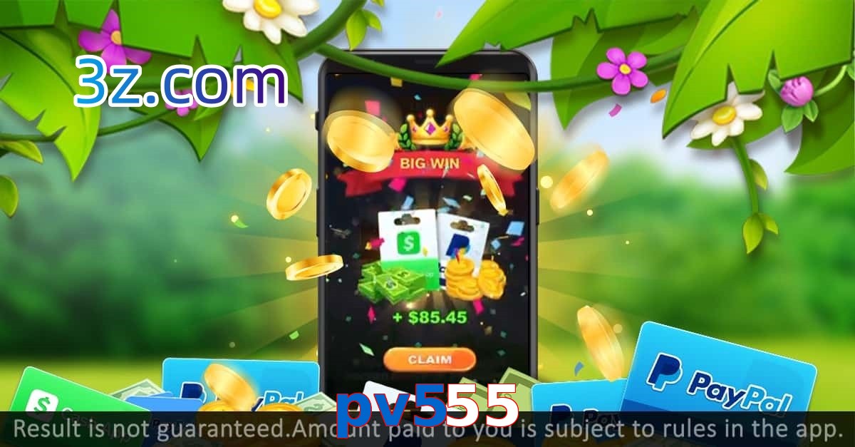 pv555.com